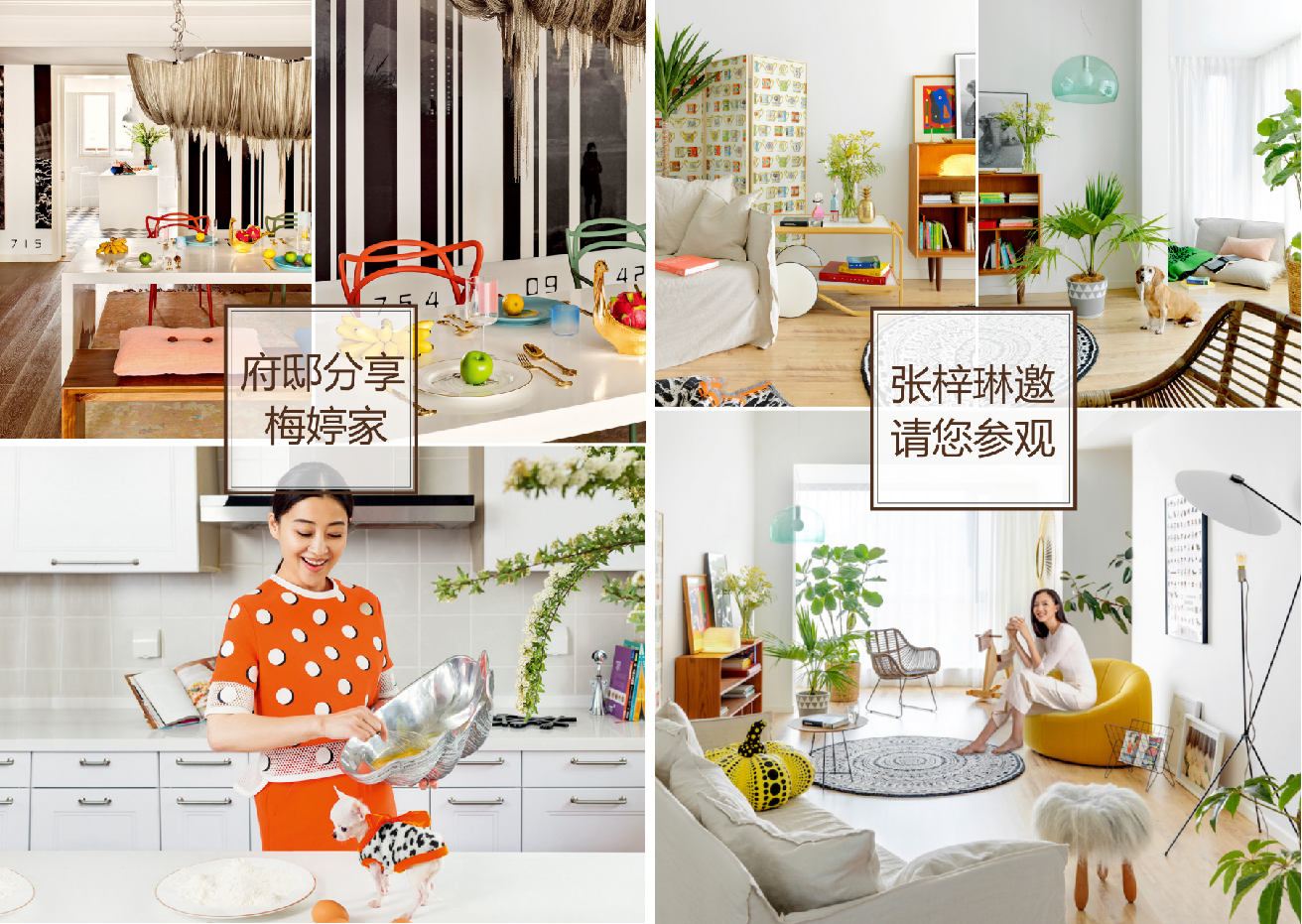 明星案例1
